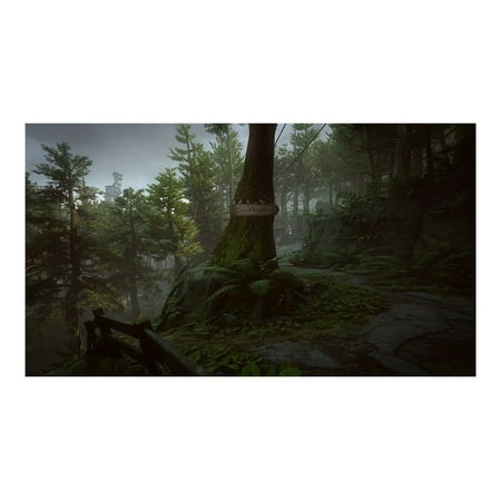 What Remains of Edith Finch -...