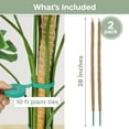 thumbnail image 2 of Soportes para plantas K-Brands, paquete de 2, tutores de musgo flexibles de 71 cm, 2 of 6