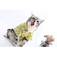 thumbnail image 3 of Adorable Pet Clothes for Cats & Small Dogs - Charming Spring & Autumn Wear., 3 of 3