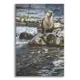 thumbnail image 1 of Epic Art 'Riverside Pause-River Otter' by Ron Parker, Acrylic Glass Wall Art, 16"x24", 1 of 8