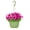Pink White, variant on Expert Gardener 1.5gal White Petunia Live Annual Plant Hanging Basket Sun
