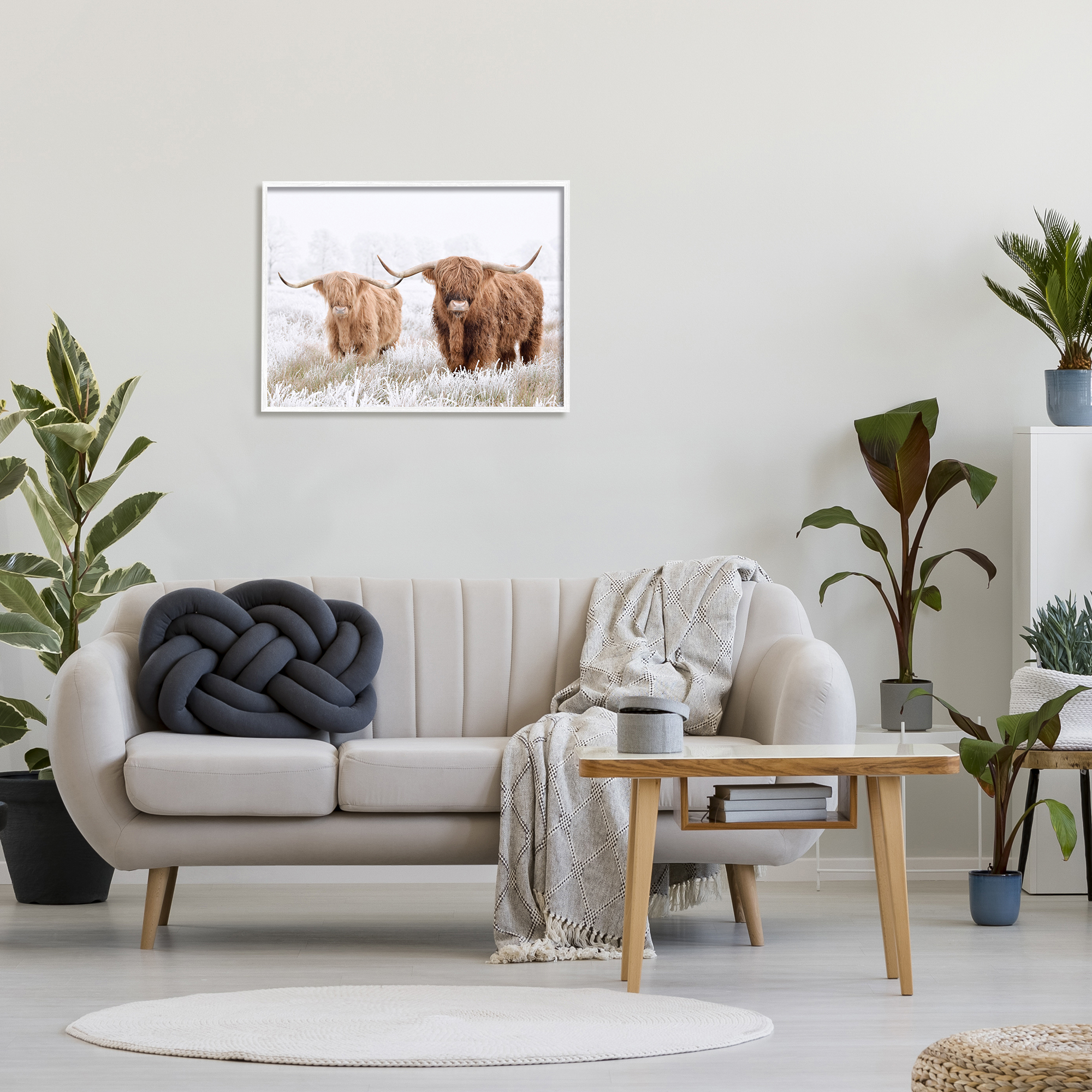 Stupell Industries Longhorn Cows in Snow Animals & Insects Photography White Framed Art Print Wall Art, 30 x 24