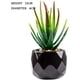 thumbnail image 2 of Plantas artificiales de interior en macetas, plantas artificiales al aire libre, mini plantas suculentas verdes en cerámica negra estética para baño, sala de estar, oficina (4) TUNC Sencillez, 2 of 5