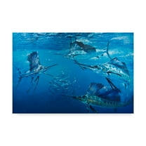 Trademark Fine Art 'Marlins In Water' Canvas Art by Michael Jackson