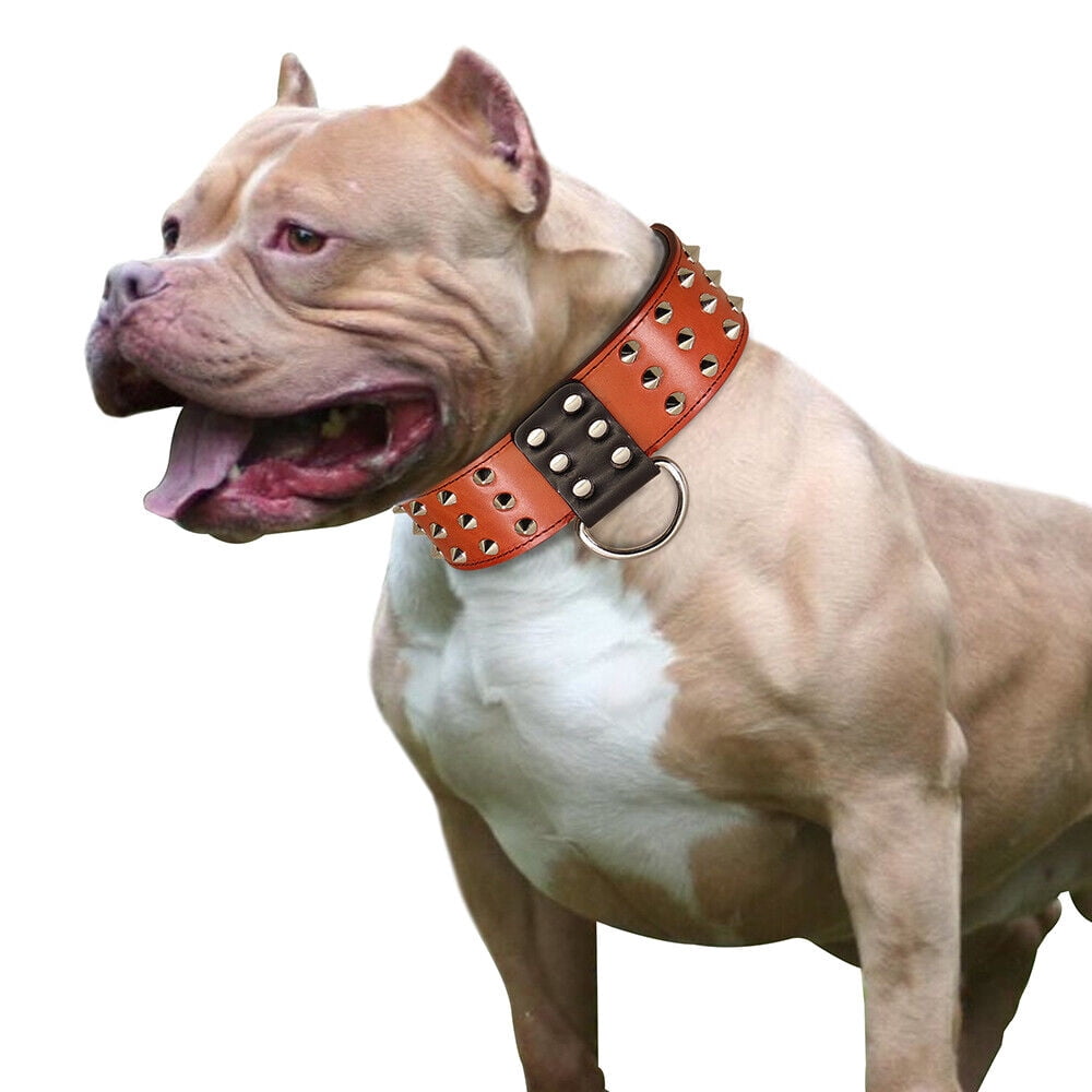 Didog 2" Wide Genuine Leather Studded Dog Collar for Medium Large Dogs, Heavy Duty Unique Rivet Pet Collars