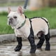 thumbnail image 1 of Suspender Boots for Dogs,Adjustable Dog Pants,Dog Paw Protector for Dogs, 1 of 5