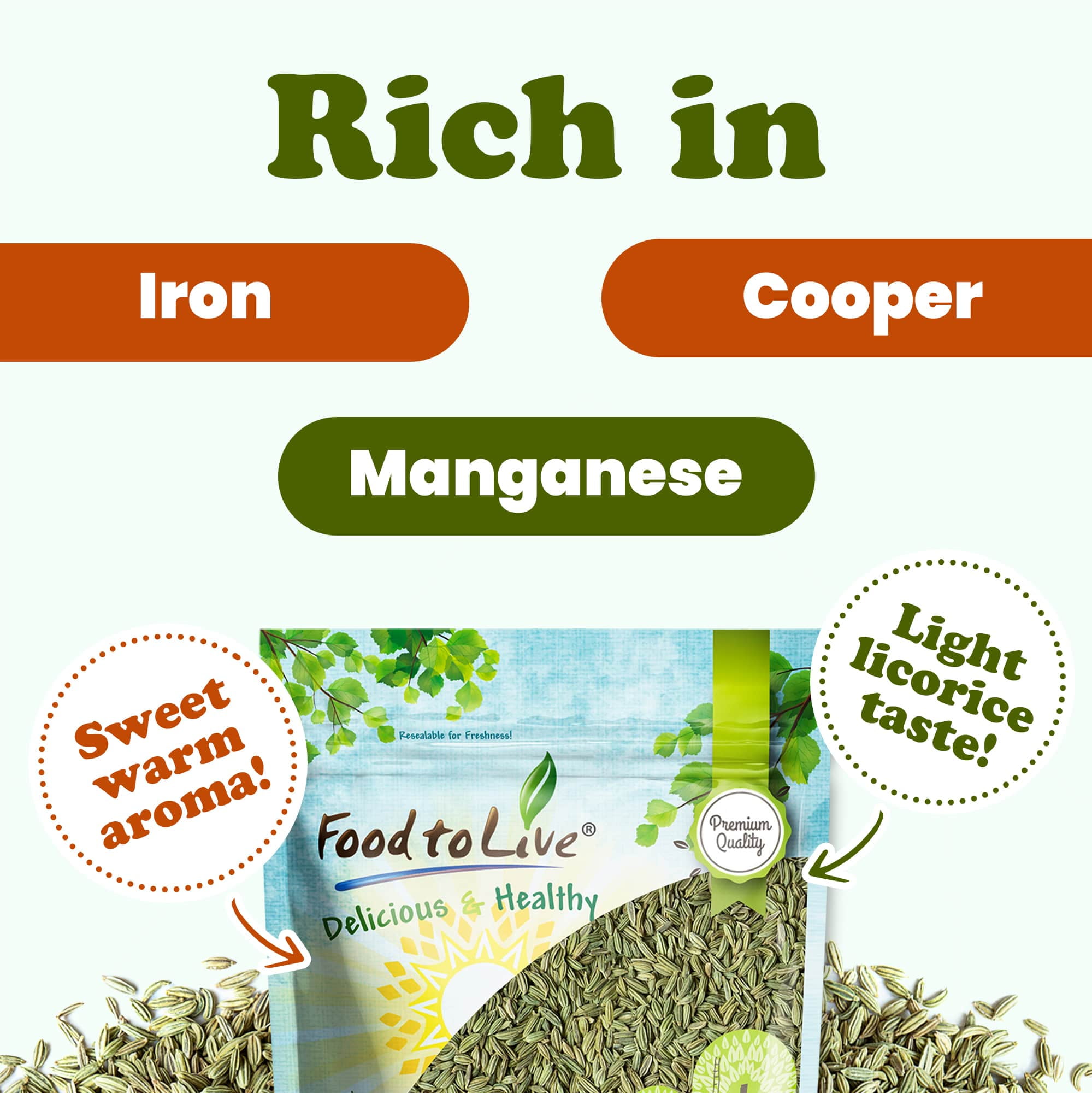 Fennel Seeds, 5 Pounds – Kosher, Raw, Vegan – by Food to Live