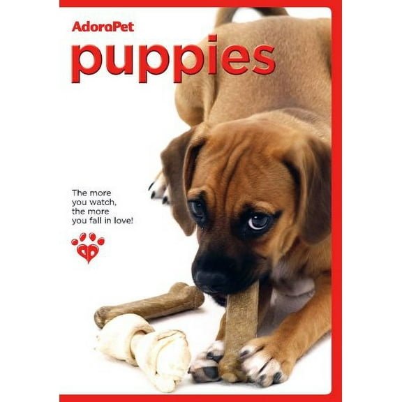 Adorapet Puppies