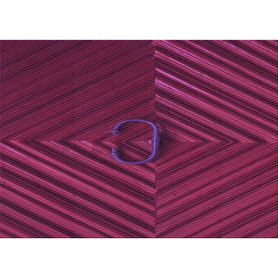 Ahgly Company Indoor Rectangle Patterned Medium Violet Red Pink Area Rugs, 2' x 5'