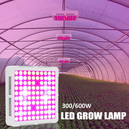 600W Full Spectrum UV IR 100 LED Hydroponic Plant Veg Grow Light Lamp