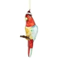 thumbnail image 4 of 6.5" Tropical Bird Glass Christmas Ornament, 4 of 6