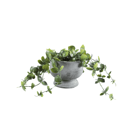 6.25 in H x 9.5 in W x 9.5 in D Mainstays Faux Greenery in Cement Pot (6.125*6.125*4.75)