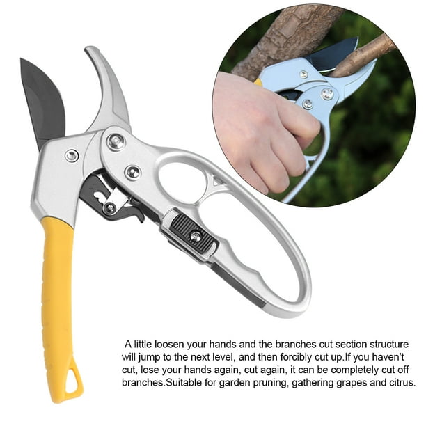 Greensen Fruit Tree Pruning Shears Pruning Shear High Carbon Steel Pruning Shears Cutter Gardening Plant Scissor Branch Pruner Trimmer Tools Walmart Com Walmart Com
