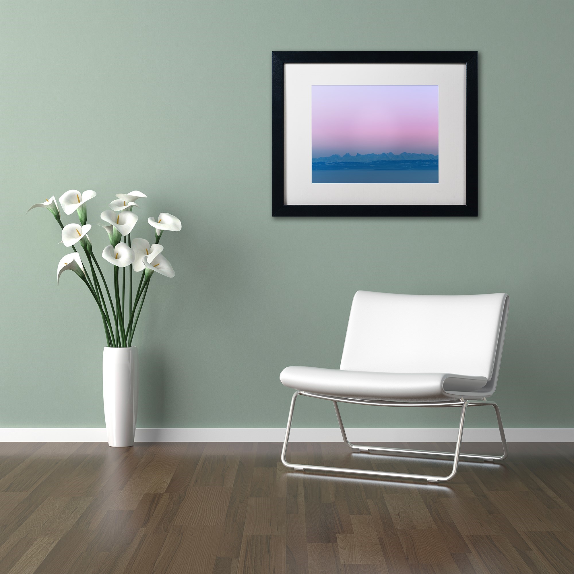 Trademark Fine Art "In Phase" Canvas Art by Philippe Sainte-Laudy, White Matte, Black Frame