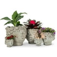 thumbnail image 3 of Abbott Collection AB-27-BACI-042 Jardinière Mini Visage Qui s'Embrasse de 4 Po, Gris, 3 of 5