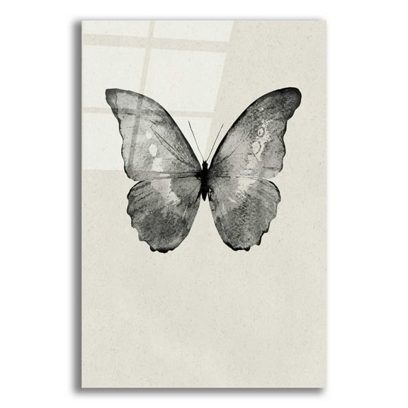 Epic Art 'Black Butterfly on Tan' by Design Fabrikken, Acrylic Glass Wall Art, 12"x16"