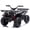 Black, variant on Conchico 24V Ride on ATV cars, 4 Wheeler Ride on Toys with Front and Rear Storage Racks, Electric Ride on Vehicles for Kids Aged 3-5, LED Lights, Power Display, Crash Bars, Bluetooth, MP3, Black