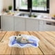 thumbnail image 4 of Handcrafted XiaoYao Frog Incense Holder with Saucer Handmade Ash Catcher Incense Burner Stick Holder for Home Fragrance Accessories Tea House Office Y, 4 of 4