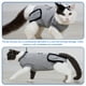 thumbnail image 3 of EeaseMX 1 pieza de ropa antilamidos para esterilización de mascotas, ropa de recuperación postoperatoria para gatos y perros - Talla M (gris), 3 of 8