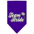 thumbnail image 5 of Pet and Dog Bandana Screen Printed, "Team Bride", 5 of 10