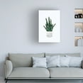 thumbnail image 2 of Trademark Fine Art Sarah Manovski  Snake Plant Canvas Wall Art, 2 of 4