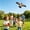Bronze, variant on Outdoor Dynamic Wing Kite Portable Flying Toy with Rod and Line for Beach Park Garden Family Activities 11.8 inches