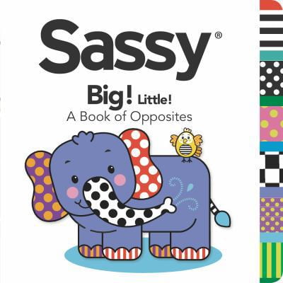 Pre-Owned Big! Little!: A Book of Opposites (Sassy) (Unknown) 044848014X 9780448480145