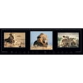 thumbnail image 2 of Unknown 24x10 White Modern Wood Framed Museum Art Print Titled - Lion Tryp, 2 of 4