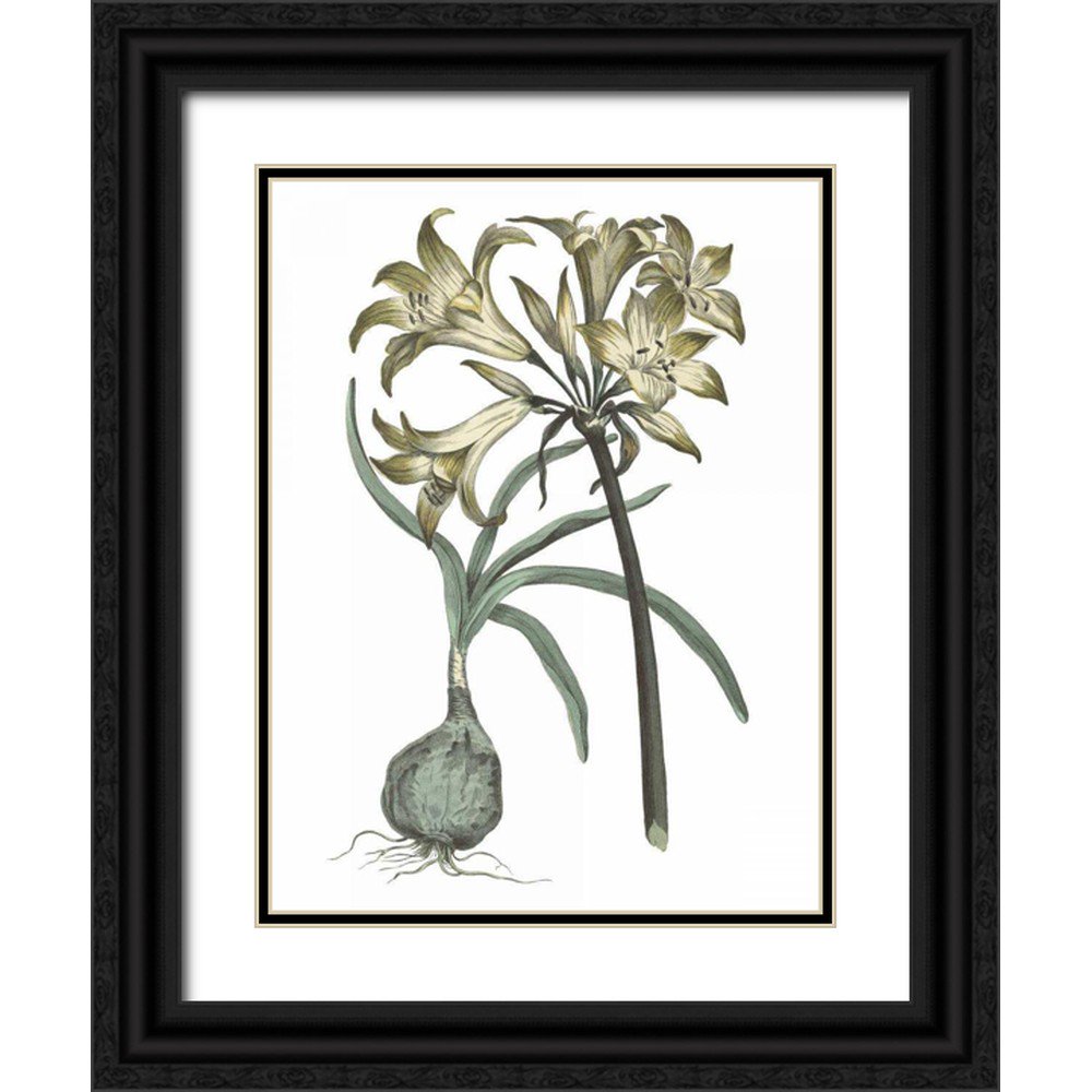 Wild Apple Portfolio 25x32 Black Ornate Wood Framed with Double Matting Museum Art Print Titled - Vintage Floral I Cool