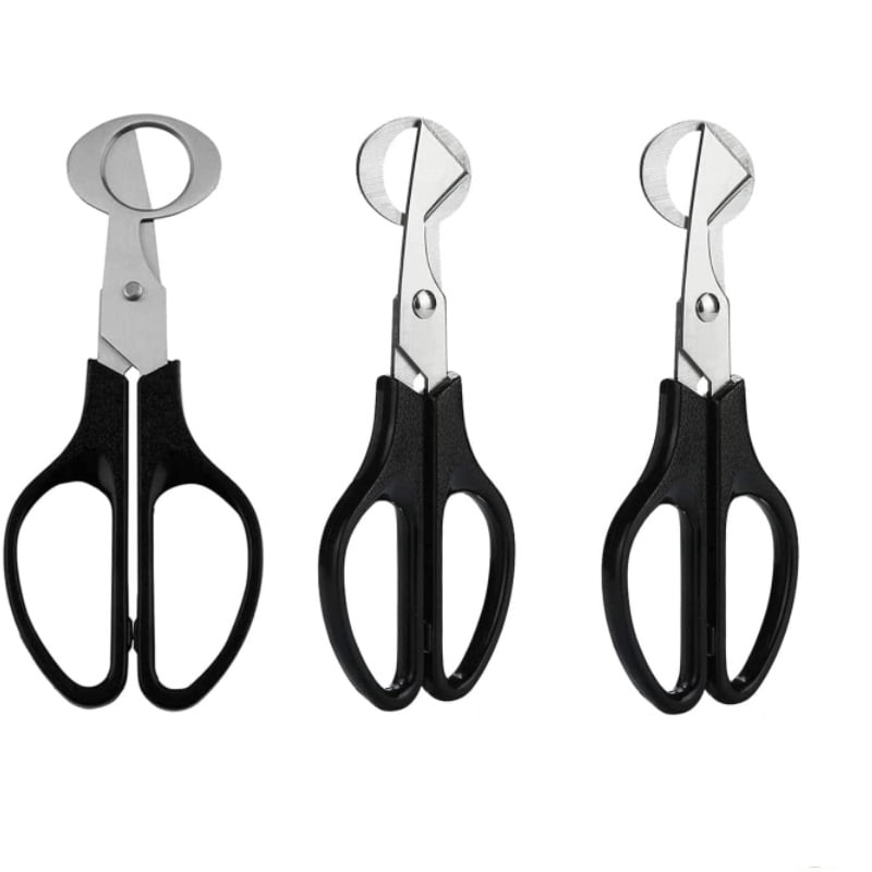 Bkuxy 3Pcs Quail Egg Cutter Scissors Stainless Steel Pigeon Quail Egg