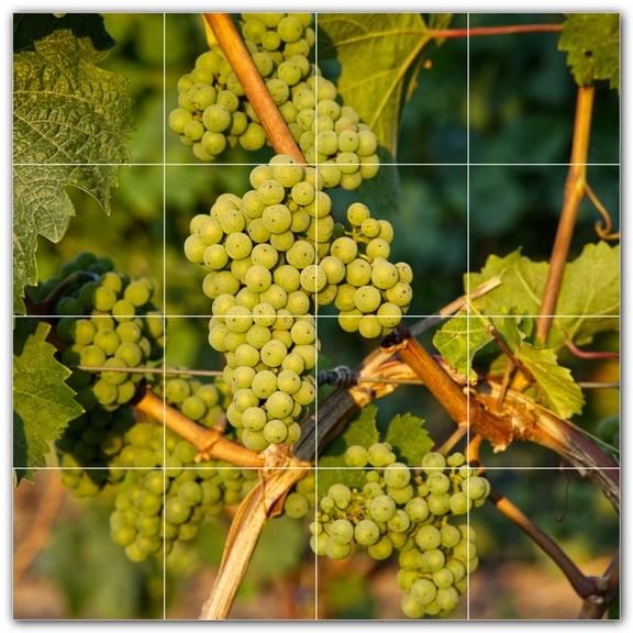 Picture-Tiles.com: Wine Ceramic Tile Wall Mural WAL501207-44L. 32"W x 32"H using (16) 8" x 8" Ceramic Tiles-Satin Finish