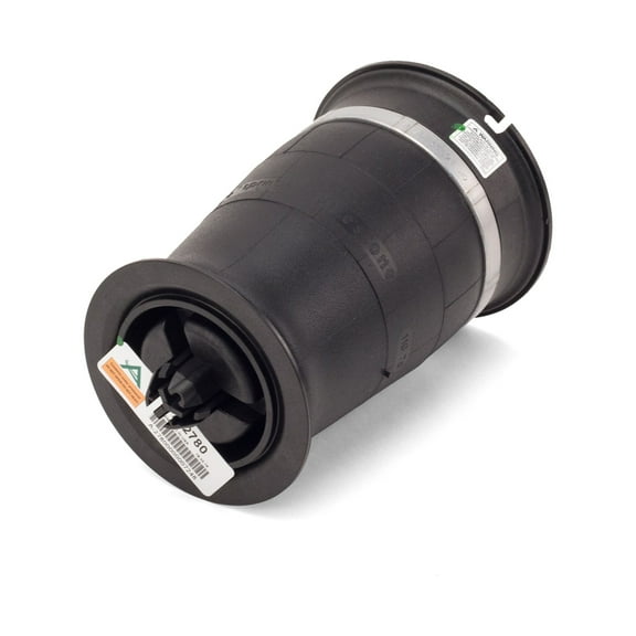 Arnott Rear Air Spring A-2780