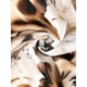 thumbnail image 5 of Quimono de mujer de satén con estampado de leopardo, sexy, con tirantes de espagueti, espalda cruzada, vestido deslizante de seda en color marrón leopardo, 5 of 6