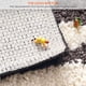 thumbnail image 5 of Alfombrilla De Baño Súper Absorbente De Agua, Alfombrilla De Ducha Antideslizante Con Patrón De Gato De Dibujos Animados, Alfombrilla De Baño De Secado Rápido Que Ahorra Espacio Para El Hogar Noticed HA022385-00, 5 of 7