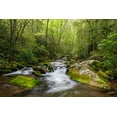 thumbnail image 2 of Jones, Adam 18x13 Black Ornate Wood Framed with Double Matting Museum Art Print Titled - Cascading mountain stream-Great Smoky Mountains National Park-Tennessee-North Carolina, 2 of 4