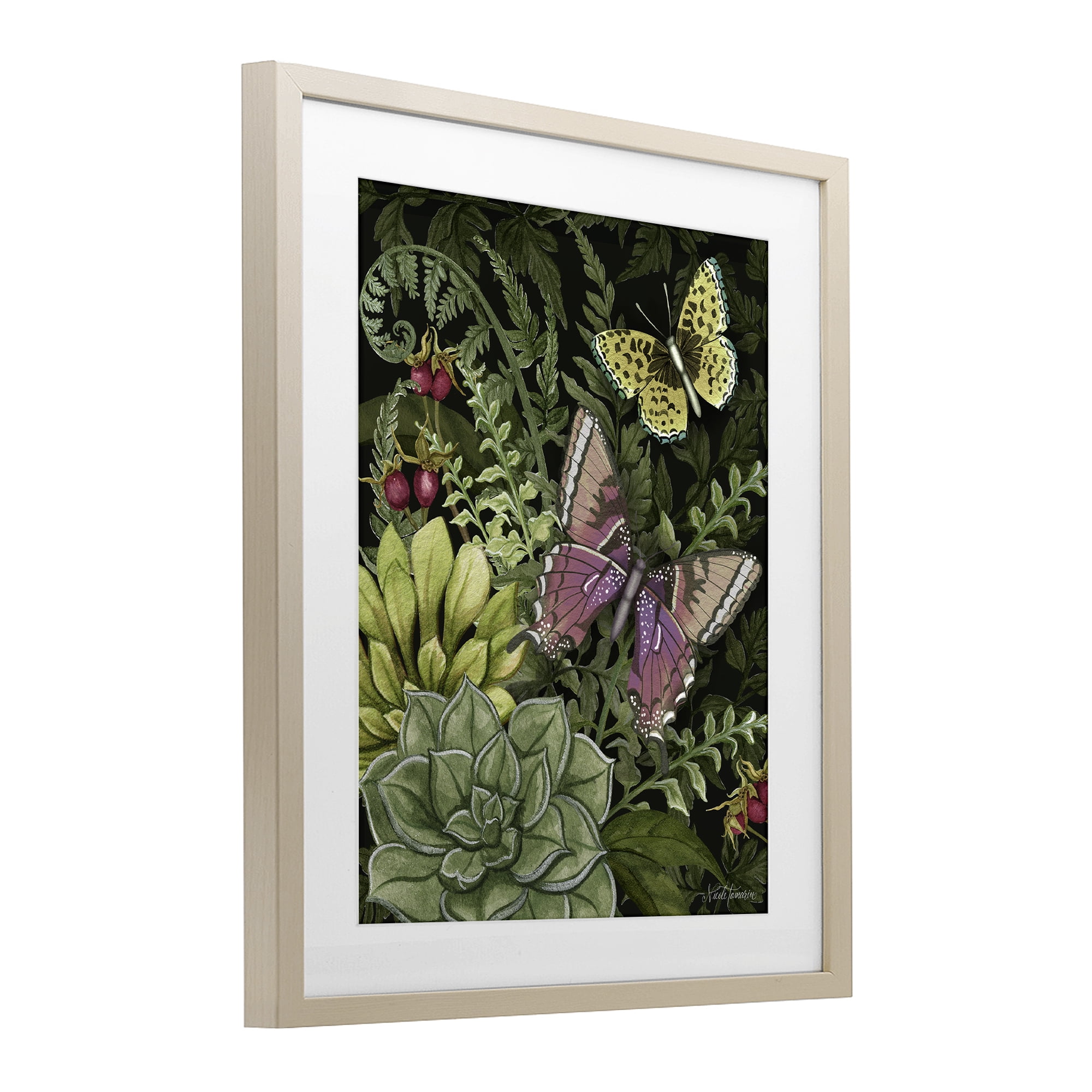 Stupell Industries Dark Succulents Midnight Garden Birch Framed Print Under Glass, design by Nicole Tamarin