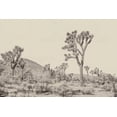 thumbnail image 2 of Urquhart, Elizabeth 32x23 White Modern Wood Framed Museum Art Print Titled - Joshua Tree II Neutral, 2 of 4