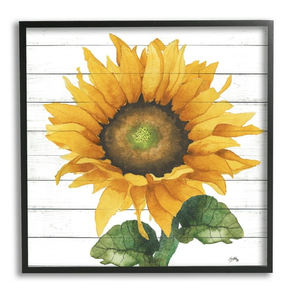 Stupell Industries Yellow Sunflower Blossom Bold Petals Rustic Design Framed Wall Art, 17 x 30, Design by Elizabeth Medley