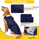 thumbnail image 5 of Chubasquero para perros pequeños y grandes, ropa impermeable para mascotas, abrigos reflectantes para la lluvia para perros, chaqueta con capucha, chubasquero para chihuahua, suministros para mascotas, 5 of 5