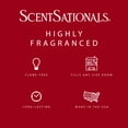 thumbnail image 4 of Cinnamon Apples Scented Wax Melts, ScentSationals, 2.5 oz (1 Pack), 4 of 6