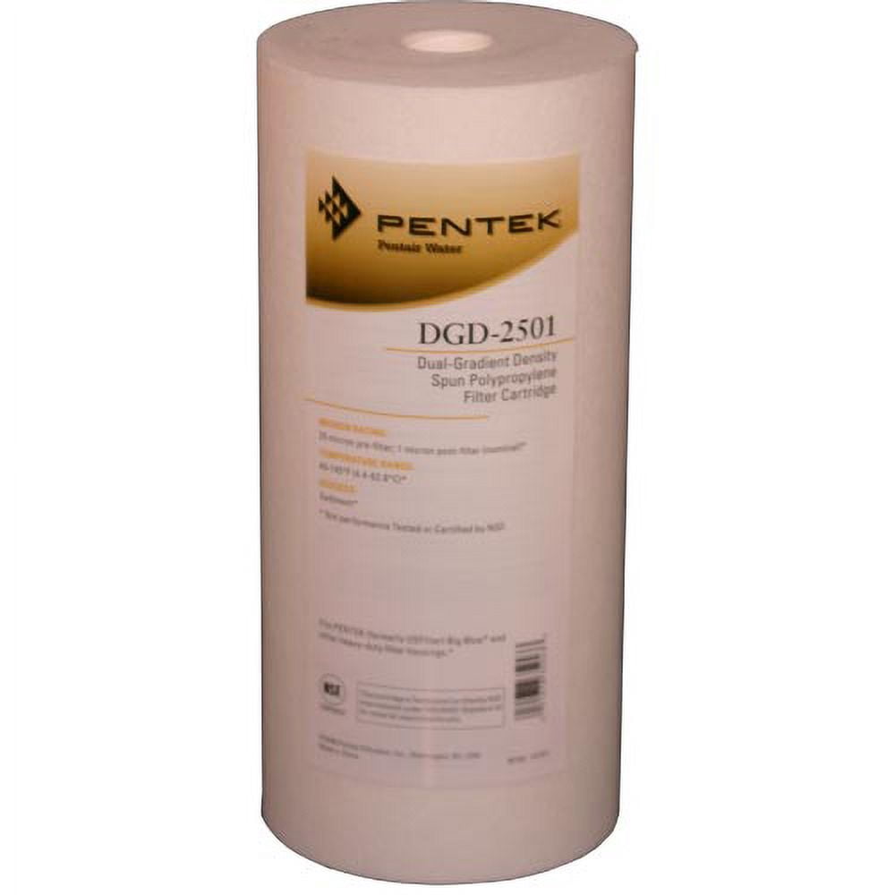 Pentair/Pentek Filter Cartridge,1 micron,9 7/8" H 155359-75