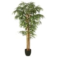 thumbnail image 1 of 6 ft. Bamboo with Pot - Green, 1 of 1