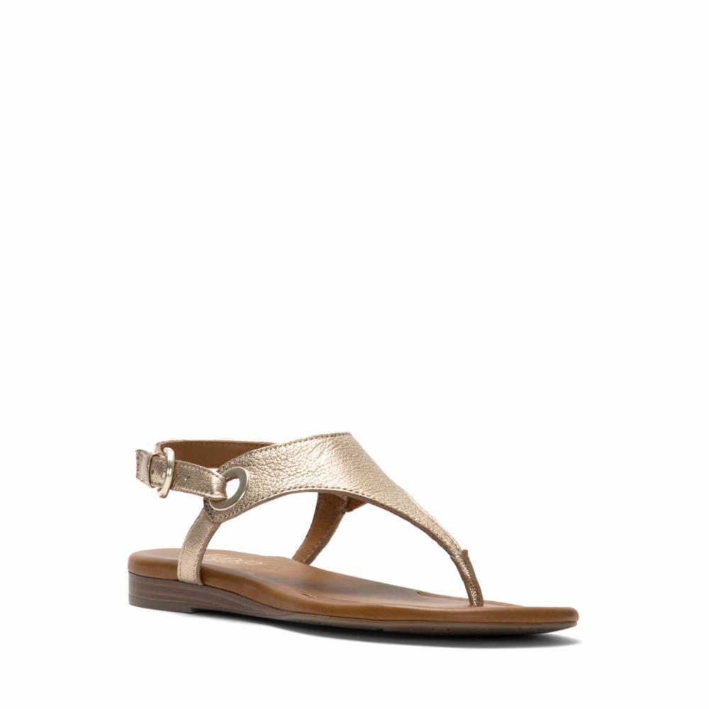 franco sarto goldy sandal