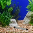 thumbnail image 1 of FOMIYES Red De Para Acuario Y Con Malla De Inoxidable Resistente, 1 of 8