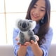 thumbnail image 5 of Cute Small Koala Bear Toys para niños Baby Playmate Muñeco de peluche Regalos de juguete Gris, 5 of 7