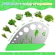 thumbnail image 5 of Juego de tijeras para hierbas VIBIRIT de acero inoxidable de 5 hojas para cocina, 5 of 7