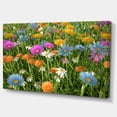 thumbnail image 2 of Different Color Flowers in Field - Floral Canvas Art Print, 2 of 4