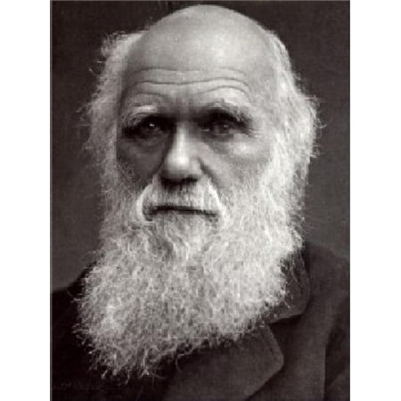 The Autobiography of Charles Darwin - eBook (Charles Darwin Best Known For)