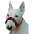 thumbnail image 3 of Dogs My Love, Dog Head Collar Halter Red 6 Sizes (S: 6.5"-8.25" Snout), 3 of 4