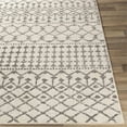 thumbnail image 3 of Surya Chester CHE-2319 31 x 144" Runner Fabric Rug in Beige/Charcoal/Gray, 3 of 8